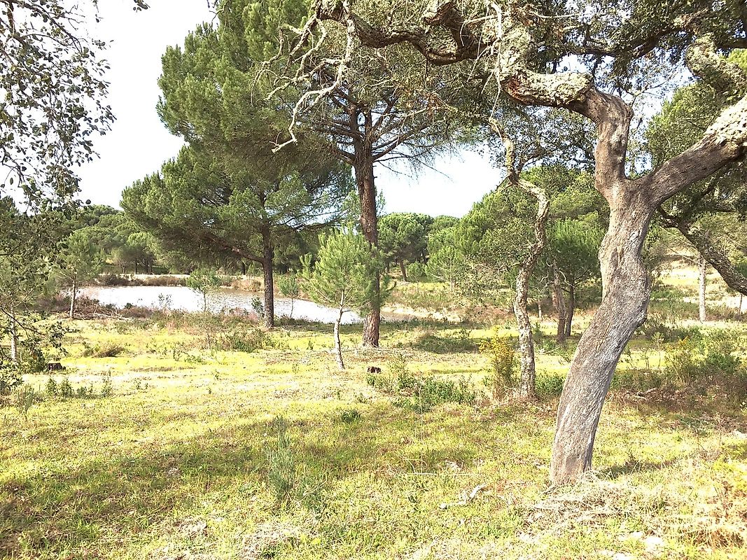 listing 121961105-322 picture-0