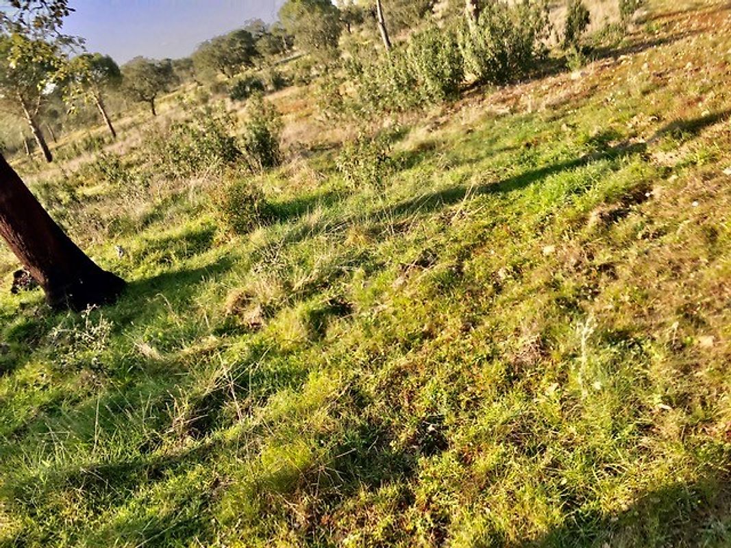 listing 121961105-322 picture-0