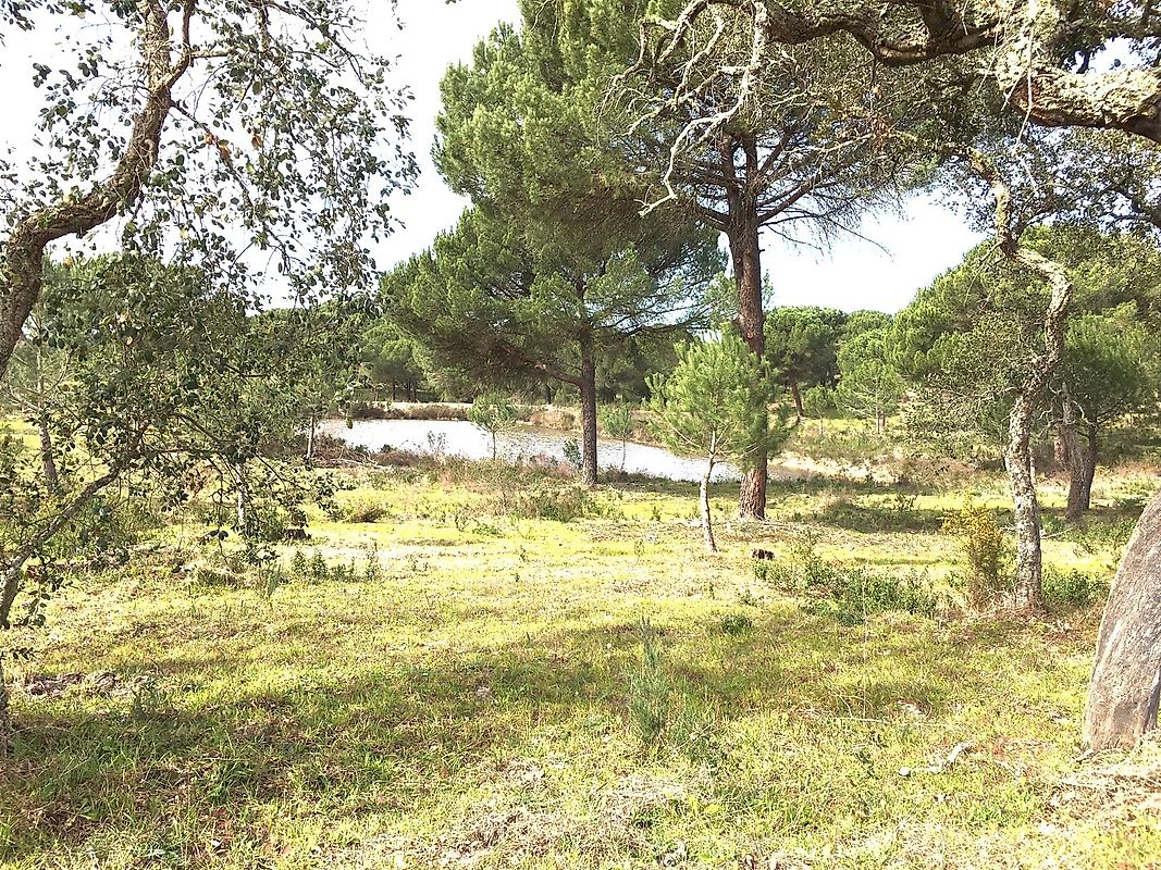 listing 121961105-322 picture-0