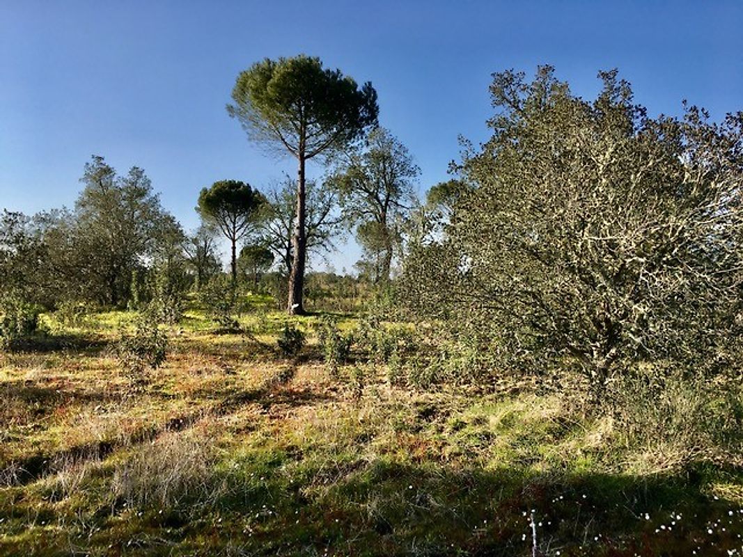 listing 121961105-322 picture-0