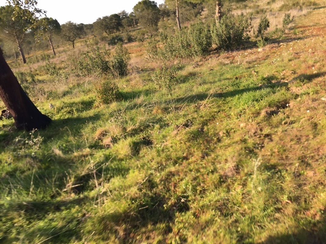 listing 121961105-322 picture-0