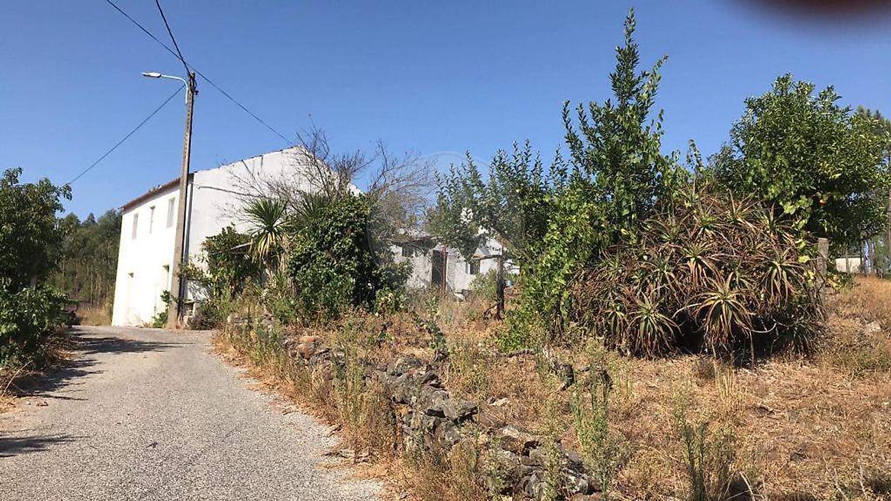 listing-picture-0