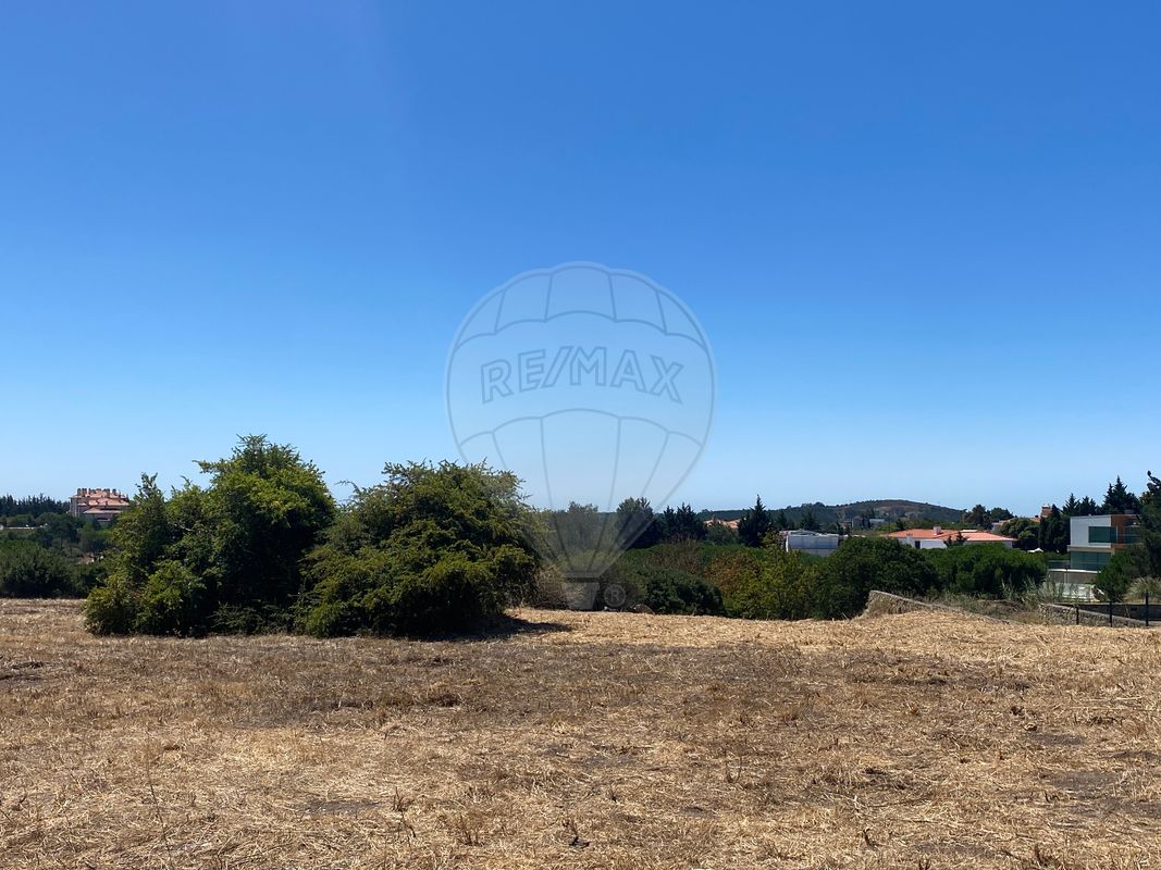 listing-picture-0