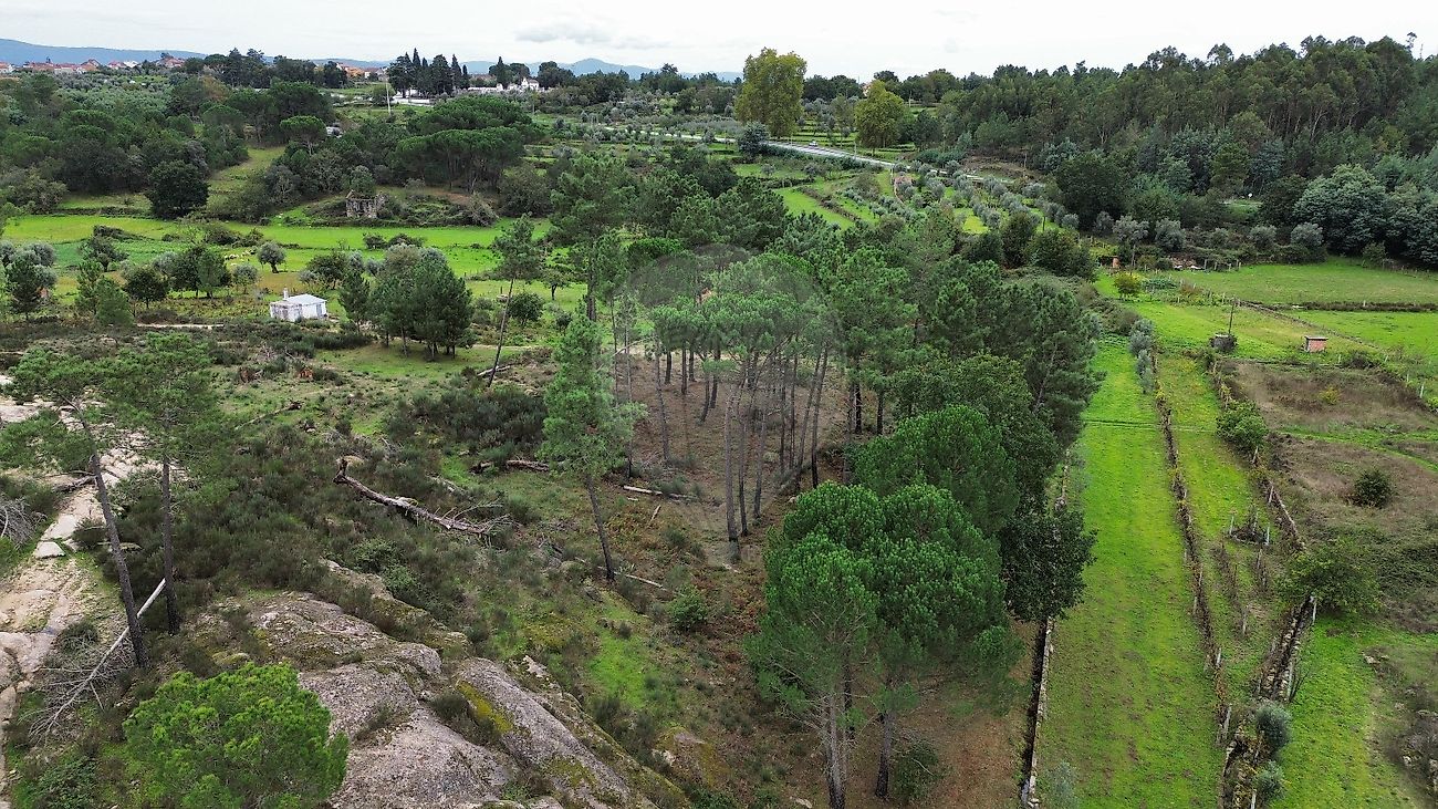 listing 121961914-113 picture-0