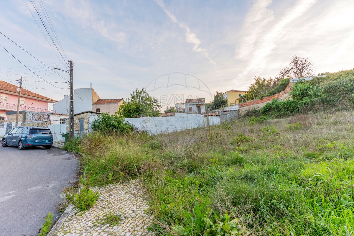 listing-picture-0
