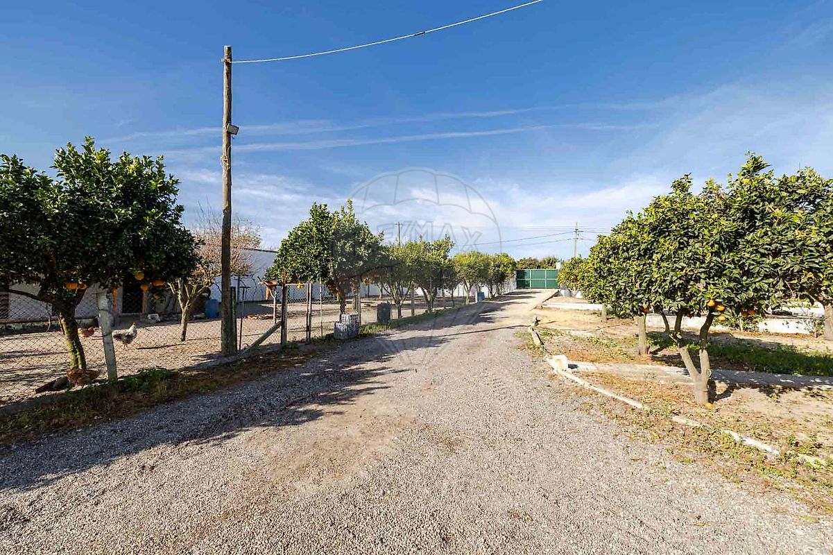 listing-picture-0