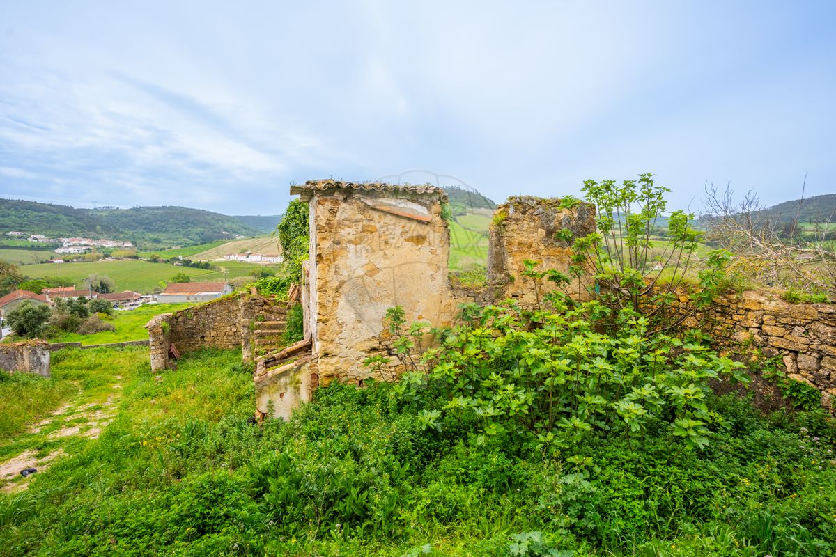 listing-picture-0