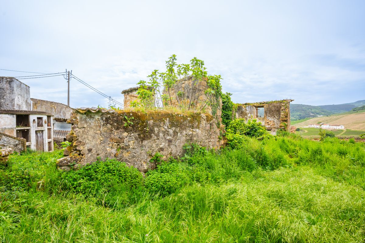 listing-picture-0