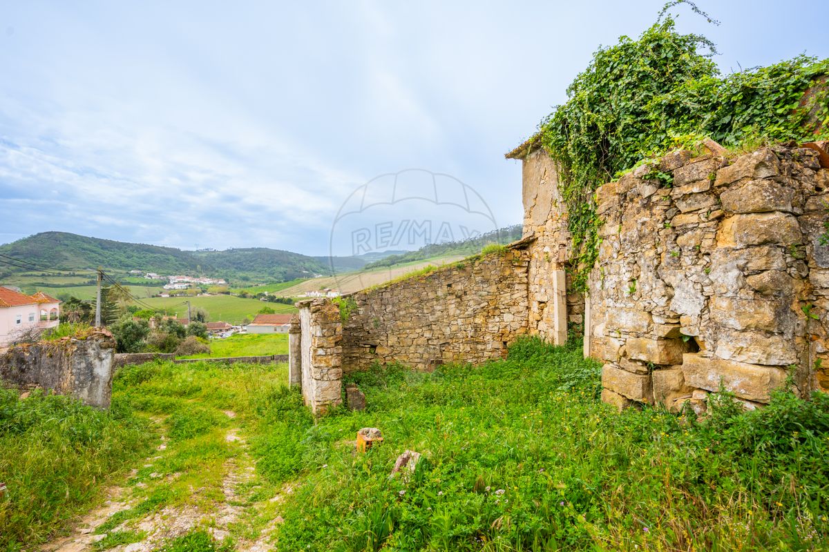 listing-picture-0