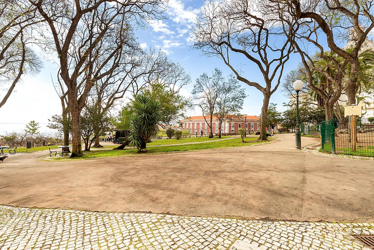 listing 121961042-694 picture-0