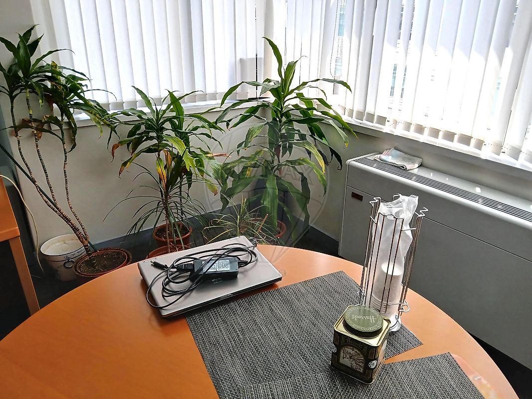 listing 121961105-341 picture-0