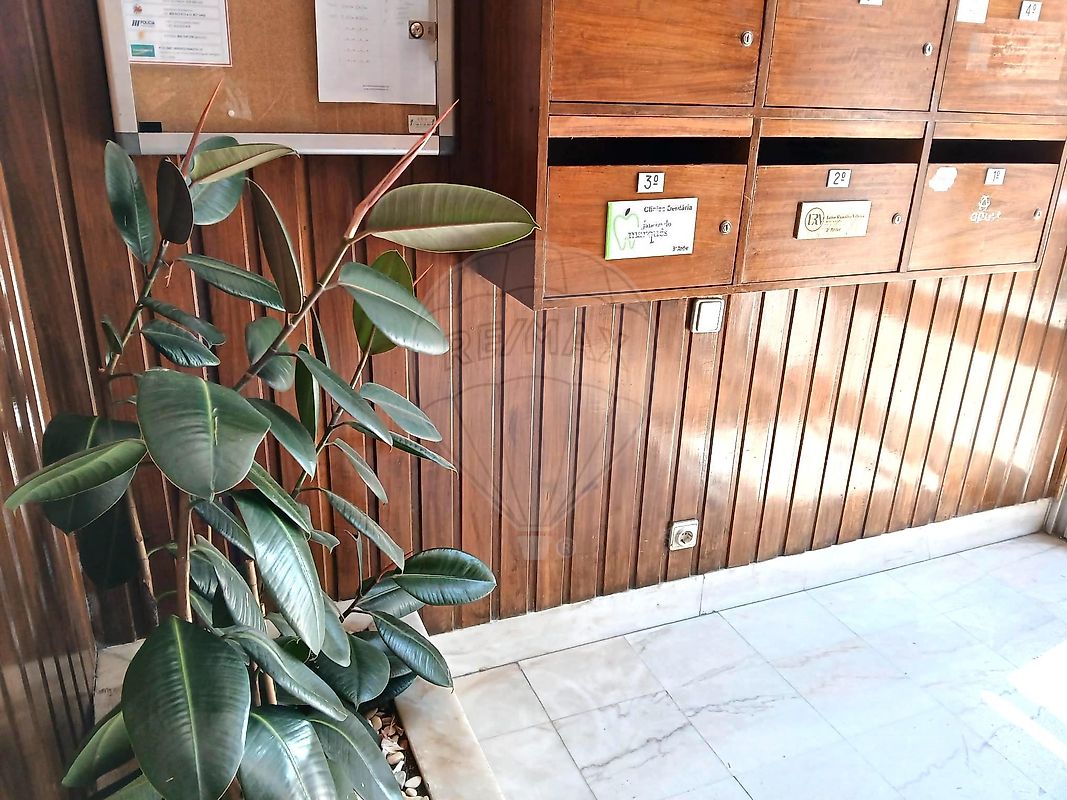 listing 121961105-341 picture-0