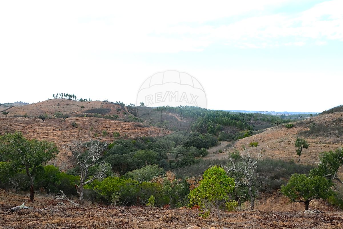 Terreno - São Martinho das Amoreiras, Odemira, Beja