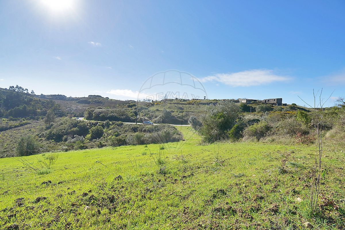 listing-picture-0