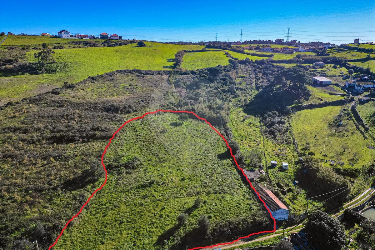 listing-picture-0