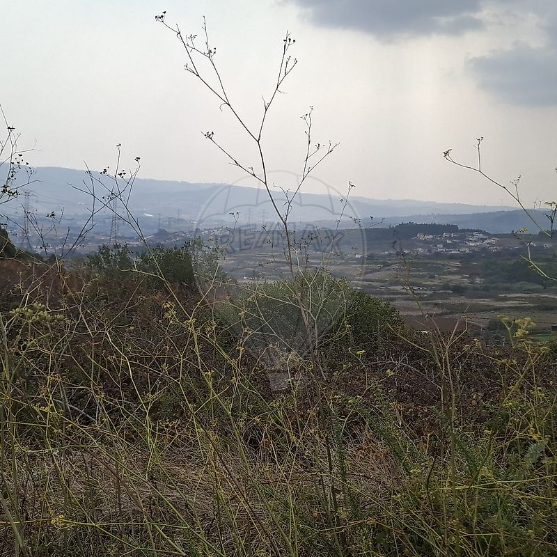 Terreno  à venda em Loures