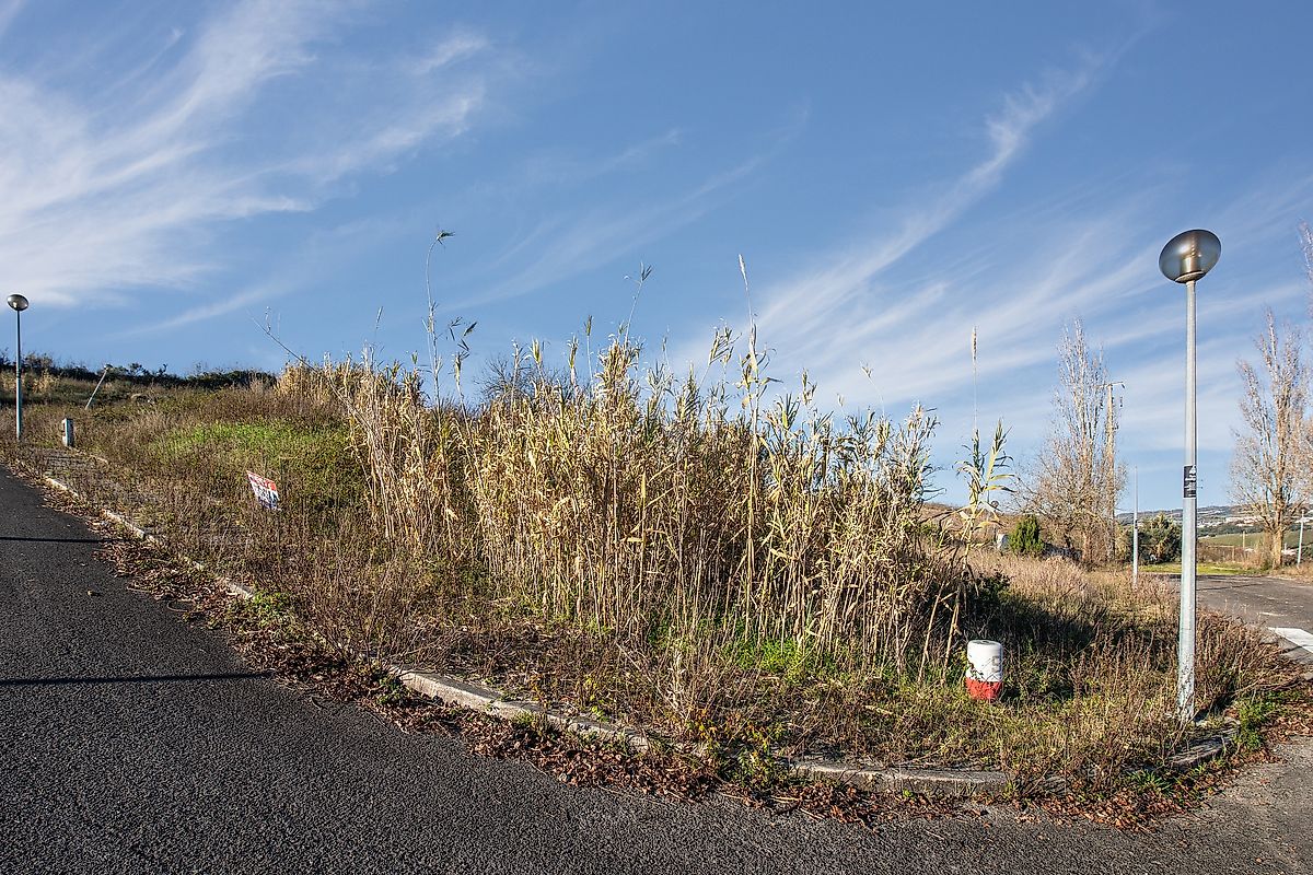 Terreno  à venda em Torres Vedras