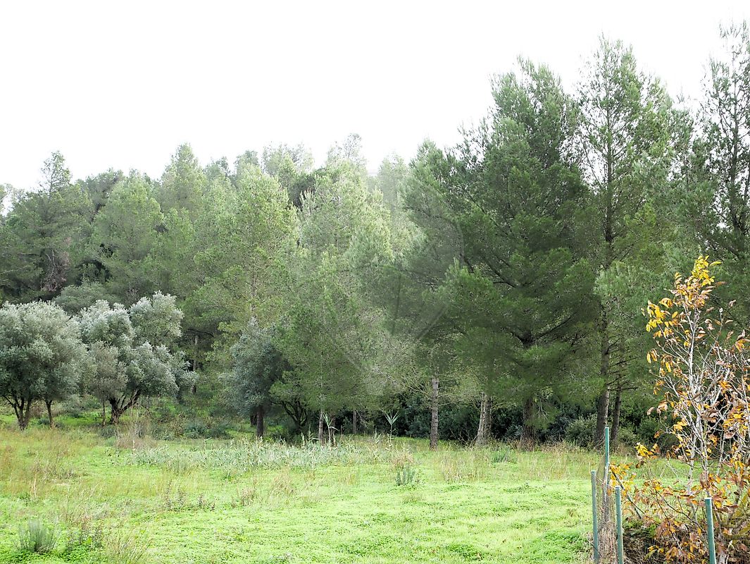 Terreno à venda em Vila Franca de Xira