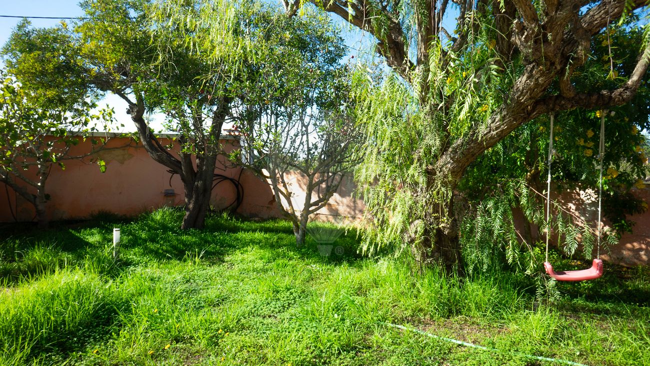 listing 122001098-9 picture-0