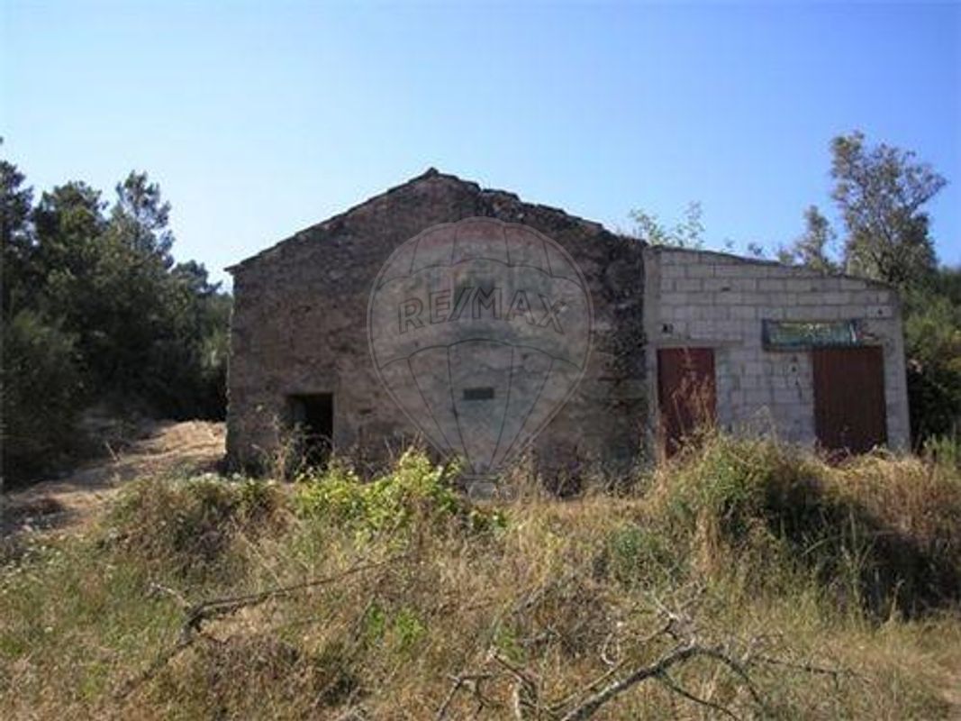 Terreno agricola