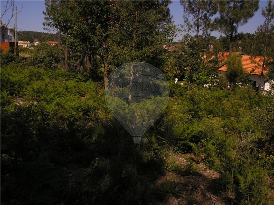 Terreno  para venda