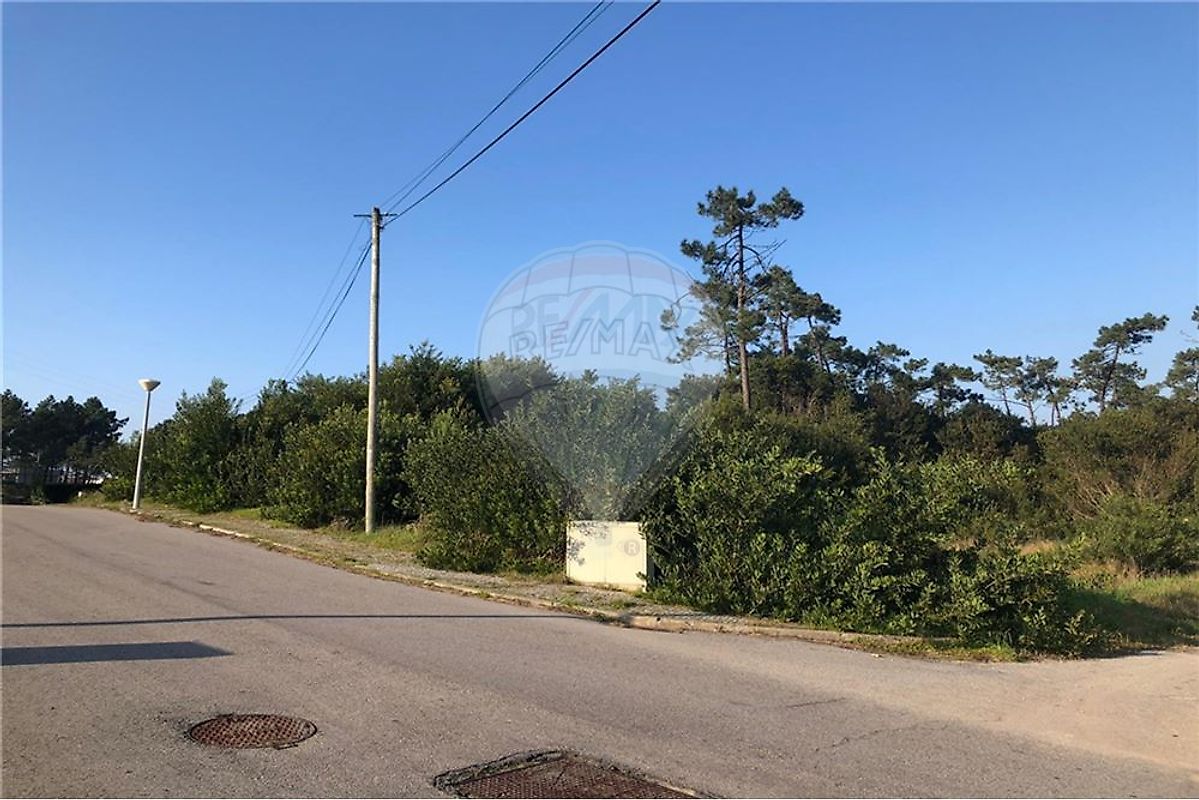 Terreno em Murtosa