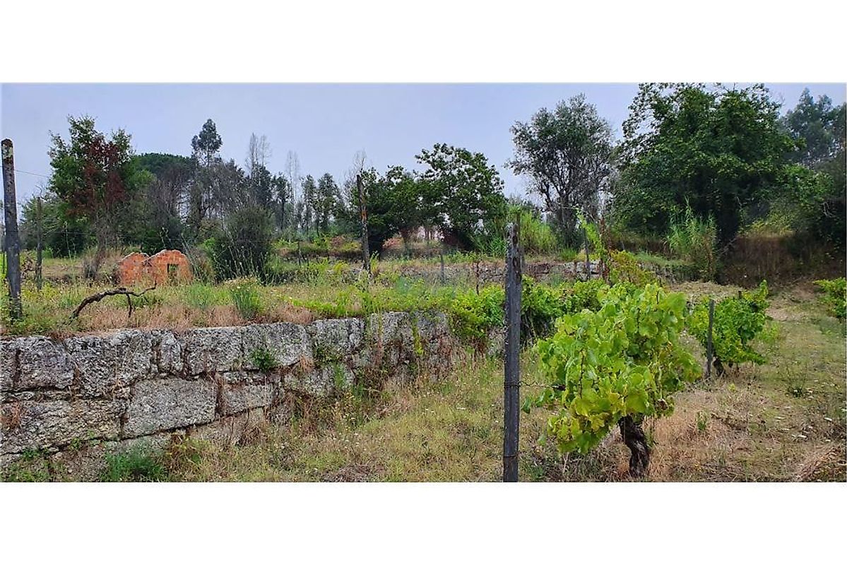 Terreno  à venda em Tondela