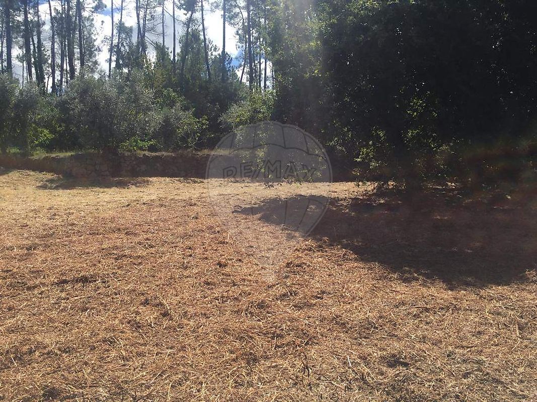Terreno  à venda em Viseu
