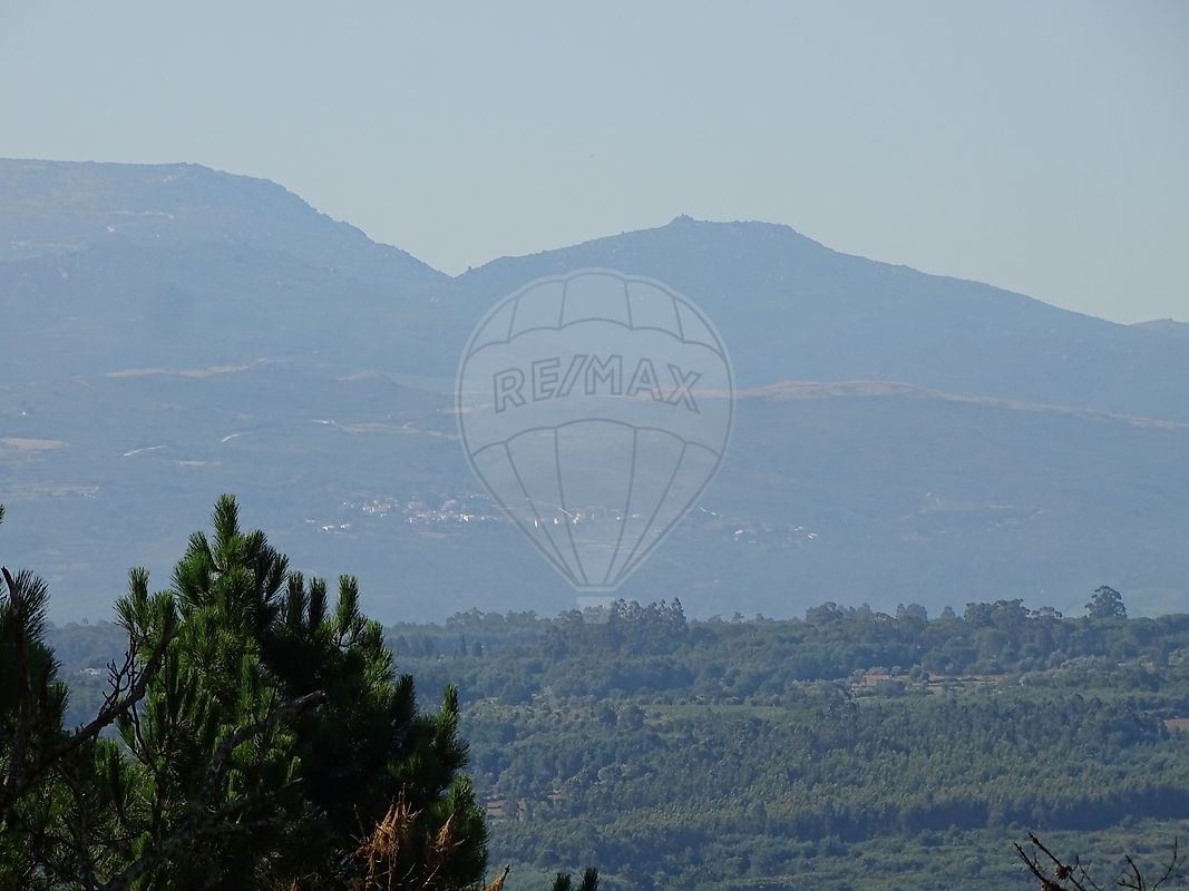 Terreno em Mangualde