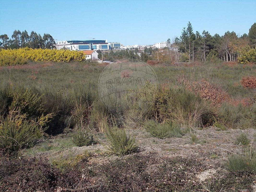 Land for sale in Viseu, Portugal — €255,000