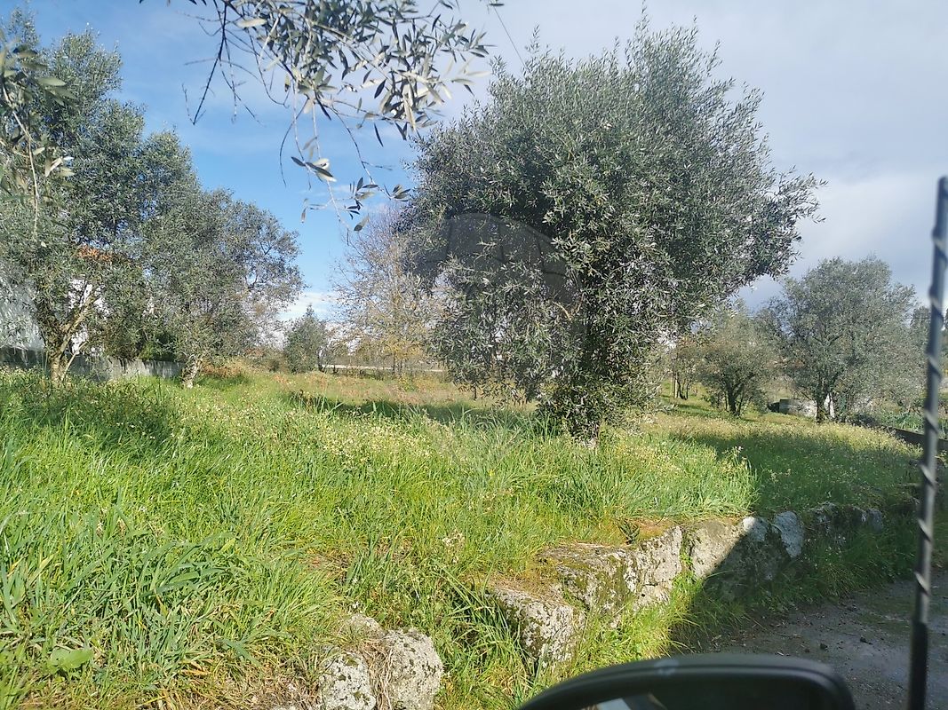 Terreno  à venda em Ermida