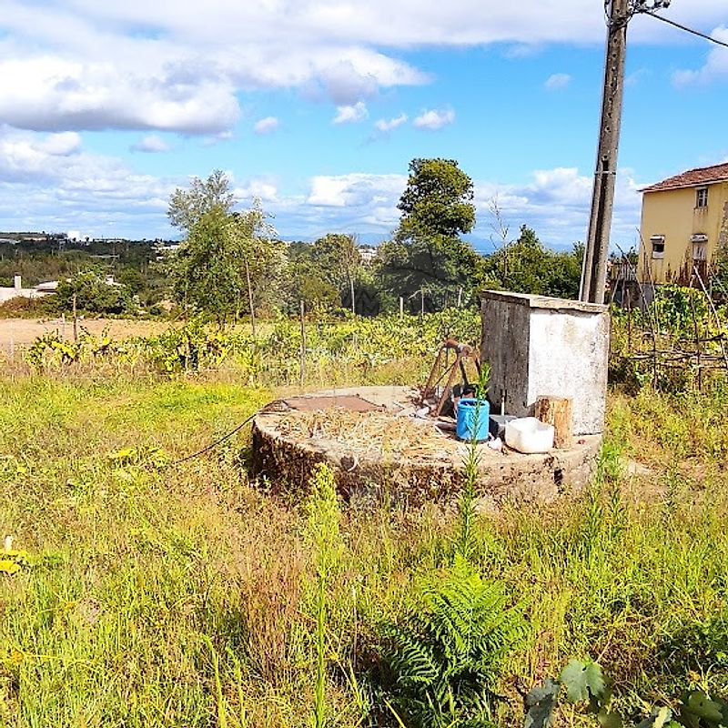 Terreno em Santa Comba Dão