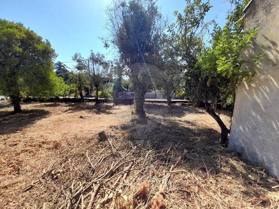 Moradia T3 à venda em Oliveira do Conde, Carregal do Sal — foto 9