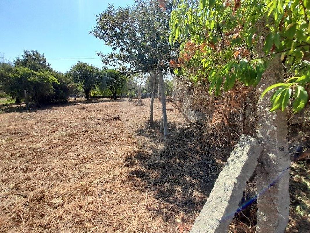 Moradia T3 à venda em Oliveira do Conde, Carregal do Sal — foto 15