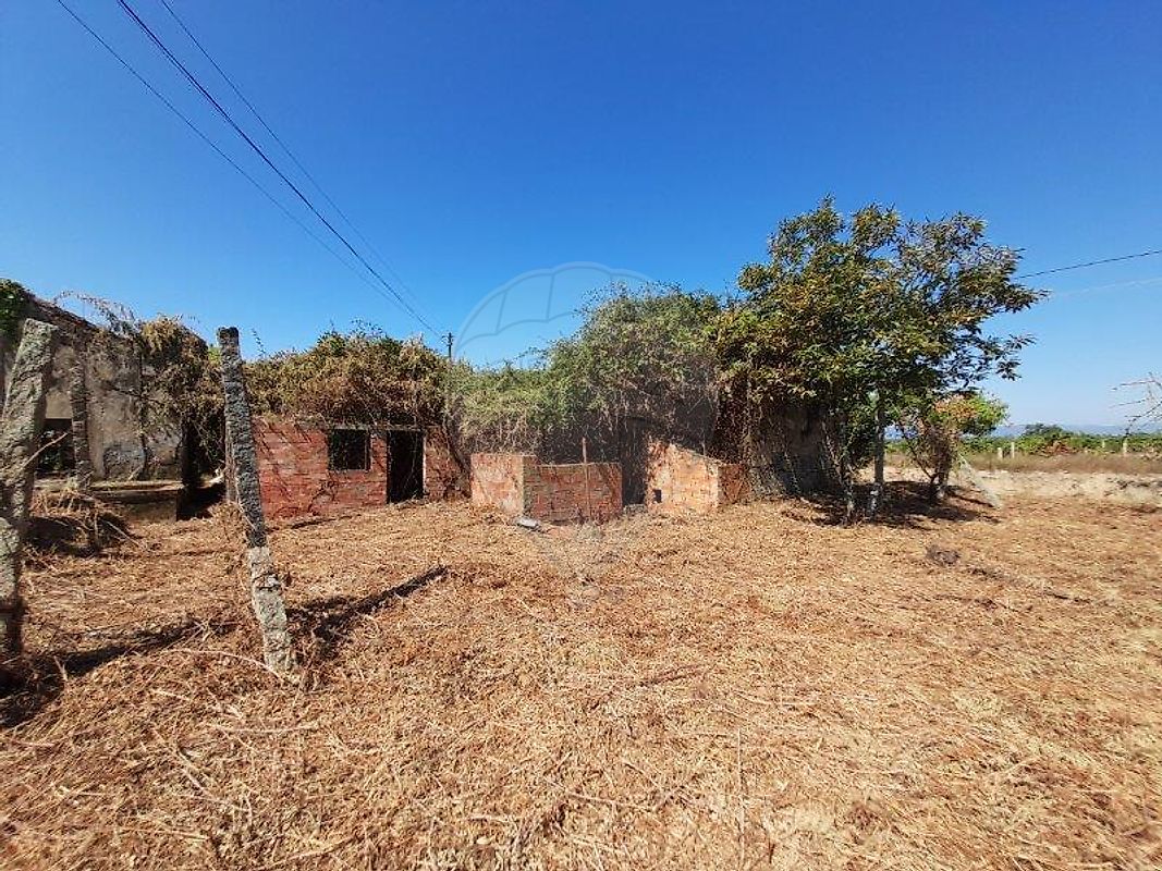 Moradia T3 à venda em Oliveira do Conde, Carregal do Sal — foto 10