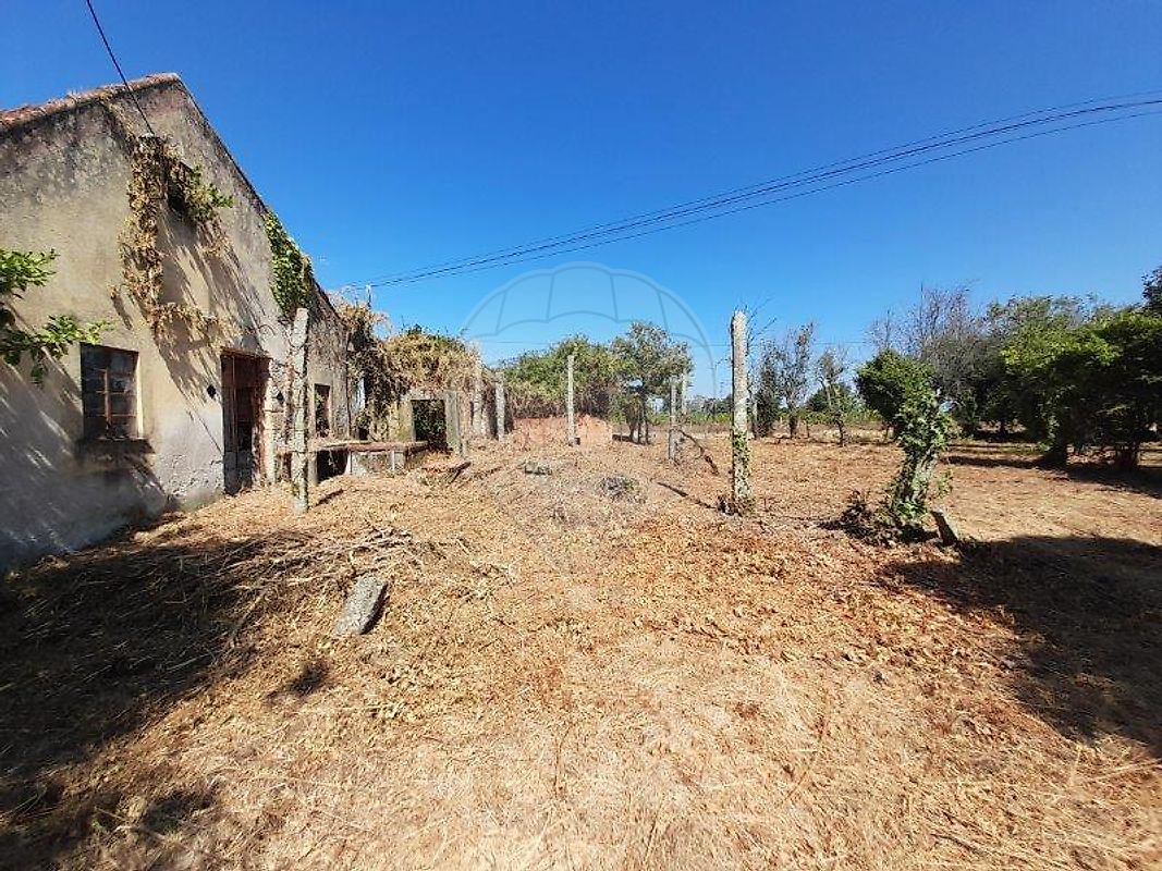 Moradia T3 à venda em Carregal do Sal