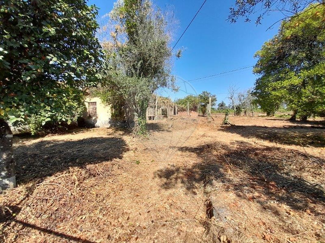 Moradia T3 à venda em Oliveira do Conde, Carregal do Sal — foto 11