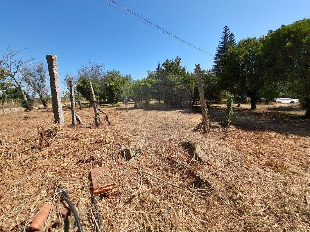 Moradia T3 à venda em Oliveira do Conde, Carregal do Sal — foto 12