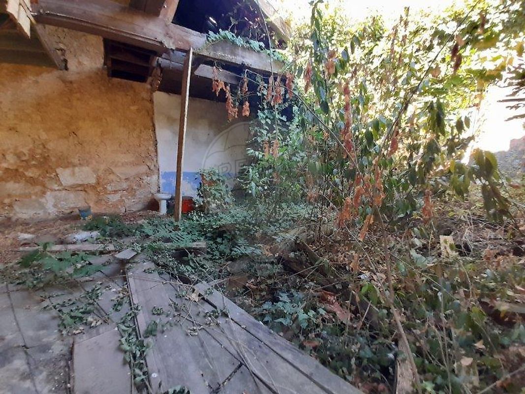 Moradia T3 à venda em Oliveira do Conde, Carregal do Sal — foto 6