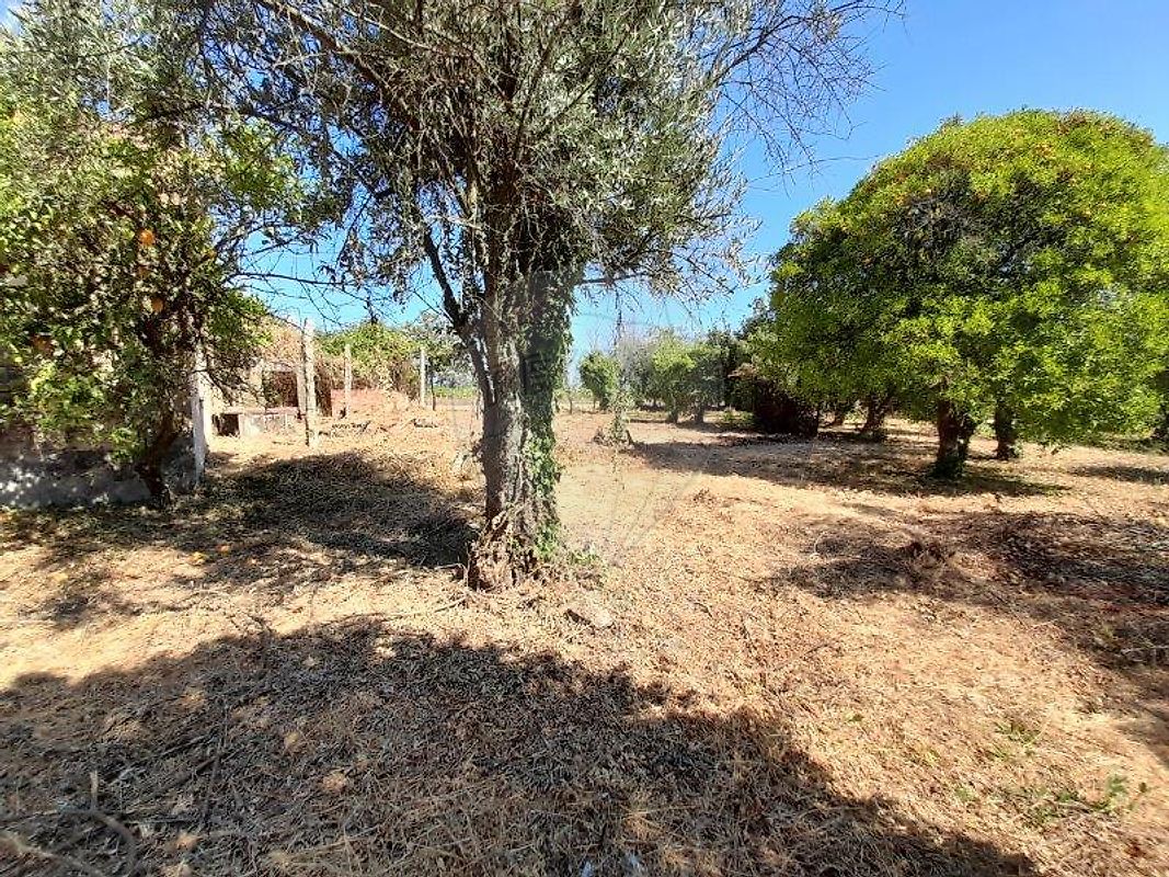 Moradia T3 à venda em Oliveira do Conde, Carregal do Sal — foto 13