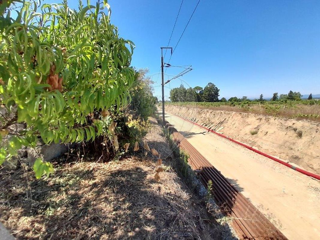 Moradia T3 à venda em Oliveira do Conde, Carregal do Sal — foto 14