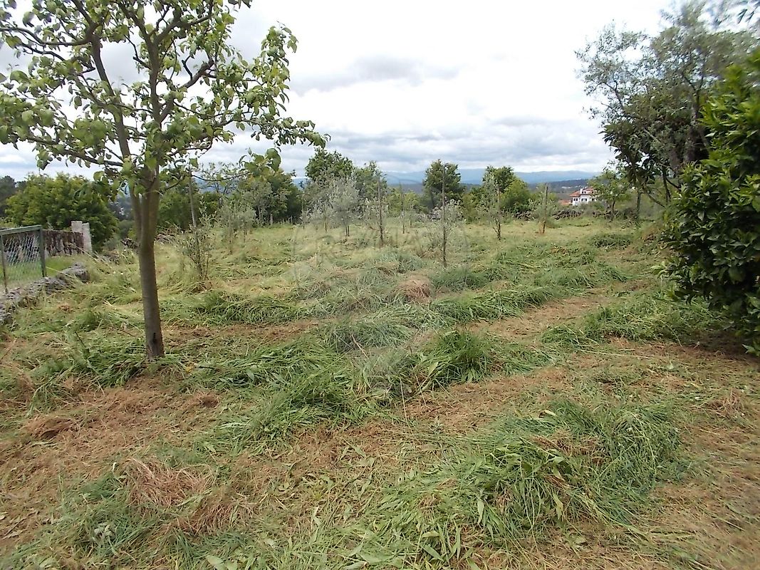 Terreno  à venda em Viseu