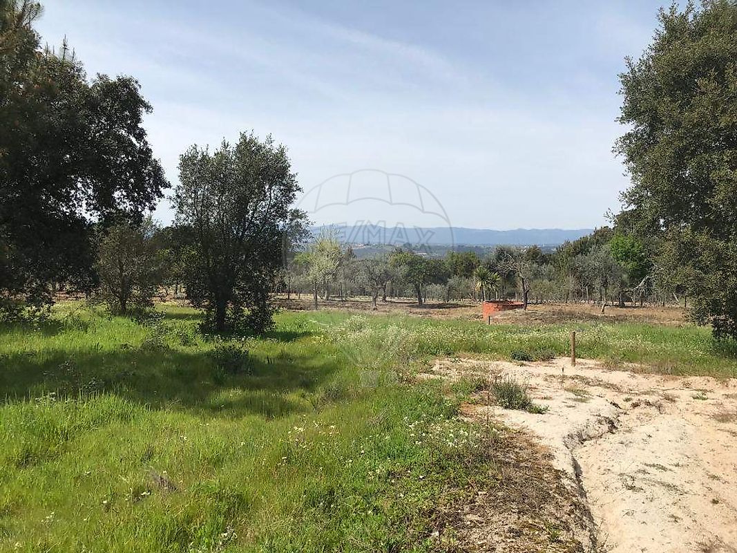 Terreno à venda em Nelas