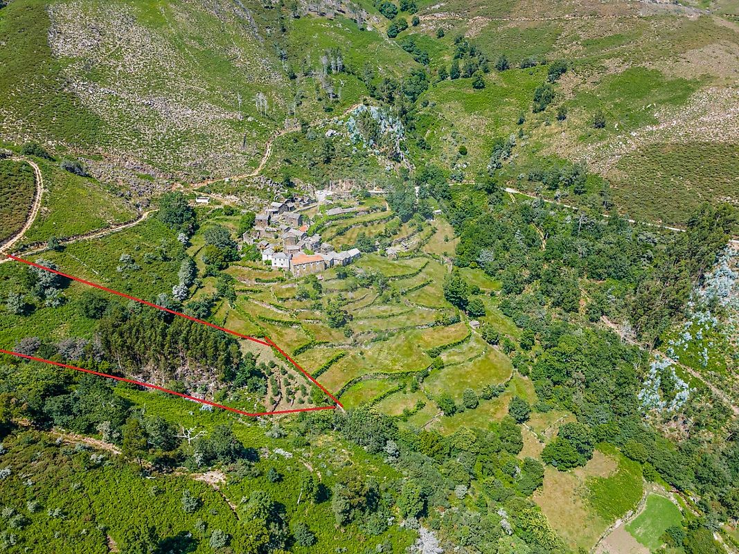 Terreno  para venda