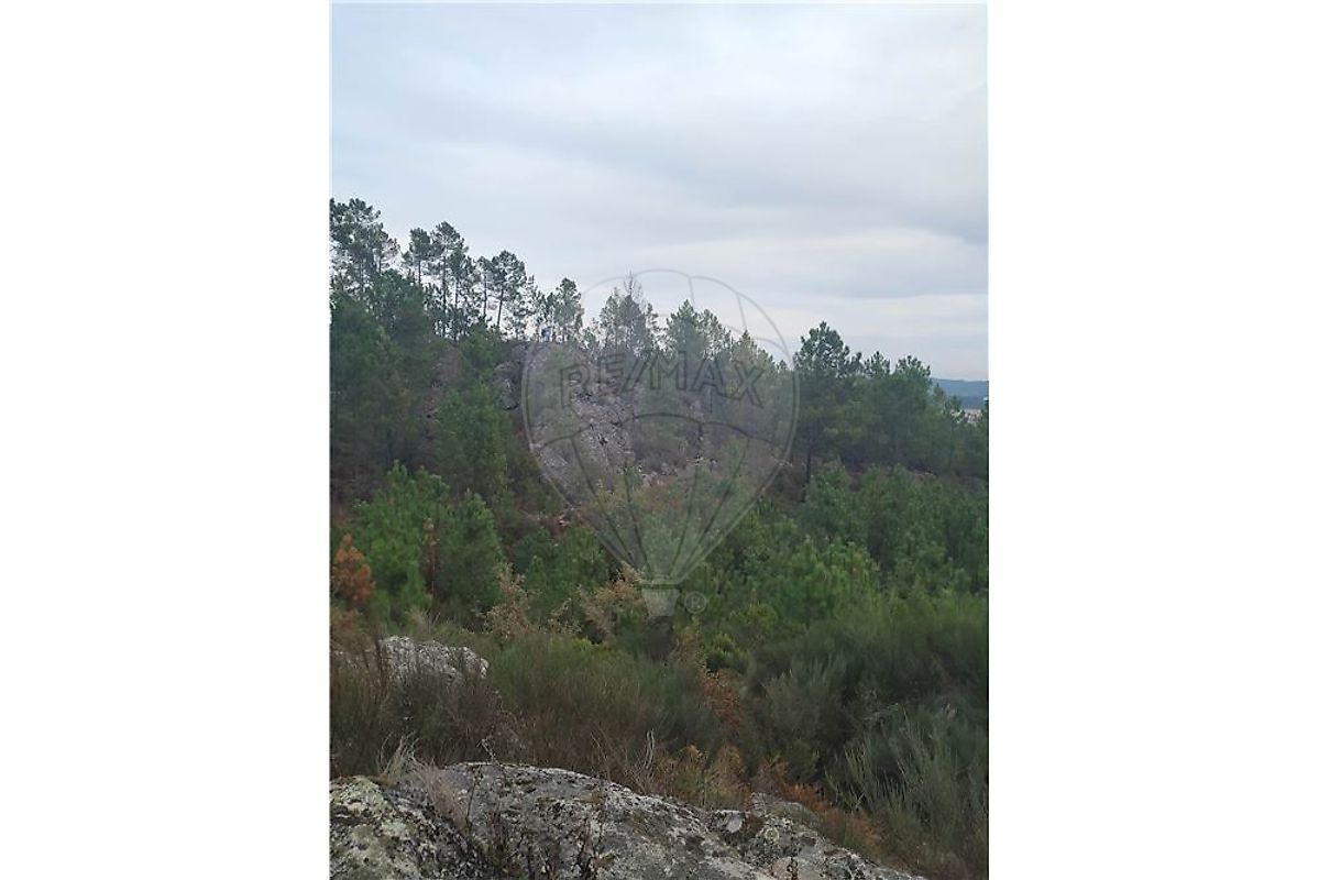 Terreno para venda