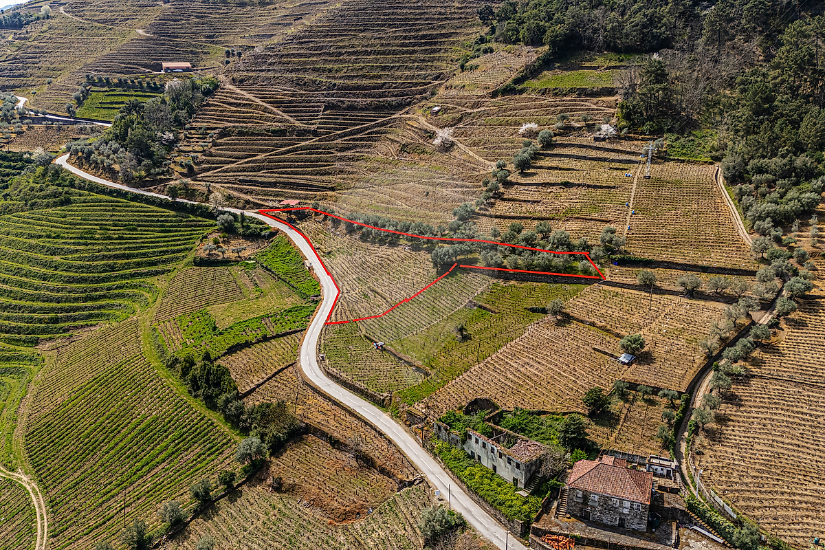 Terreno  para venda
