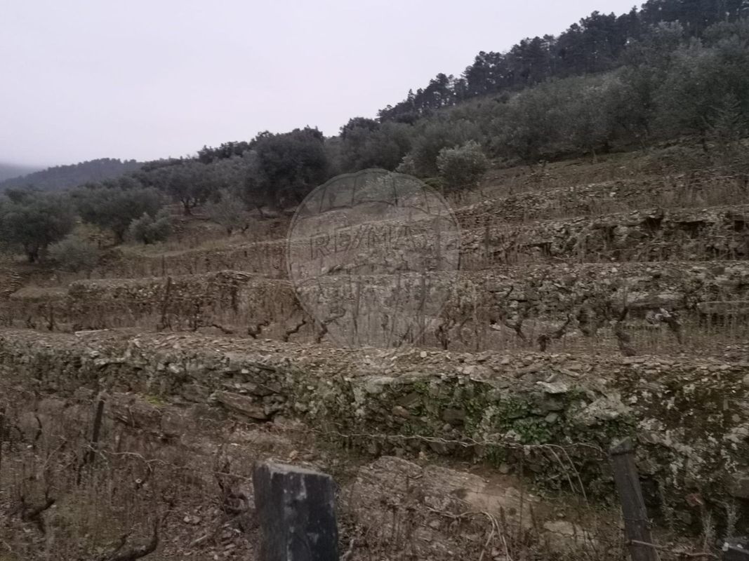 TODO
