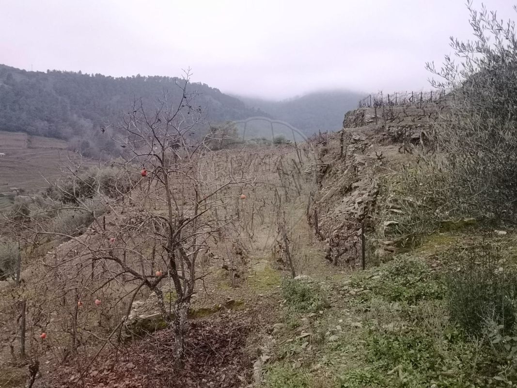TODO