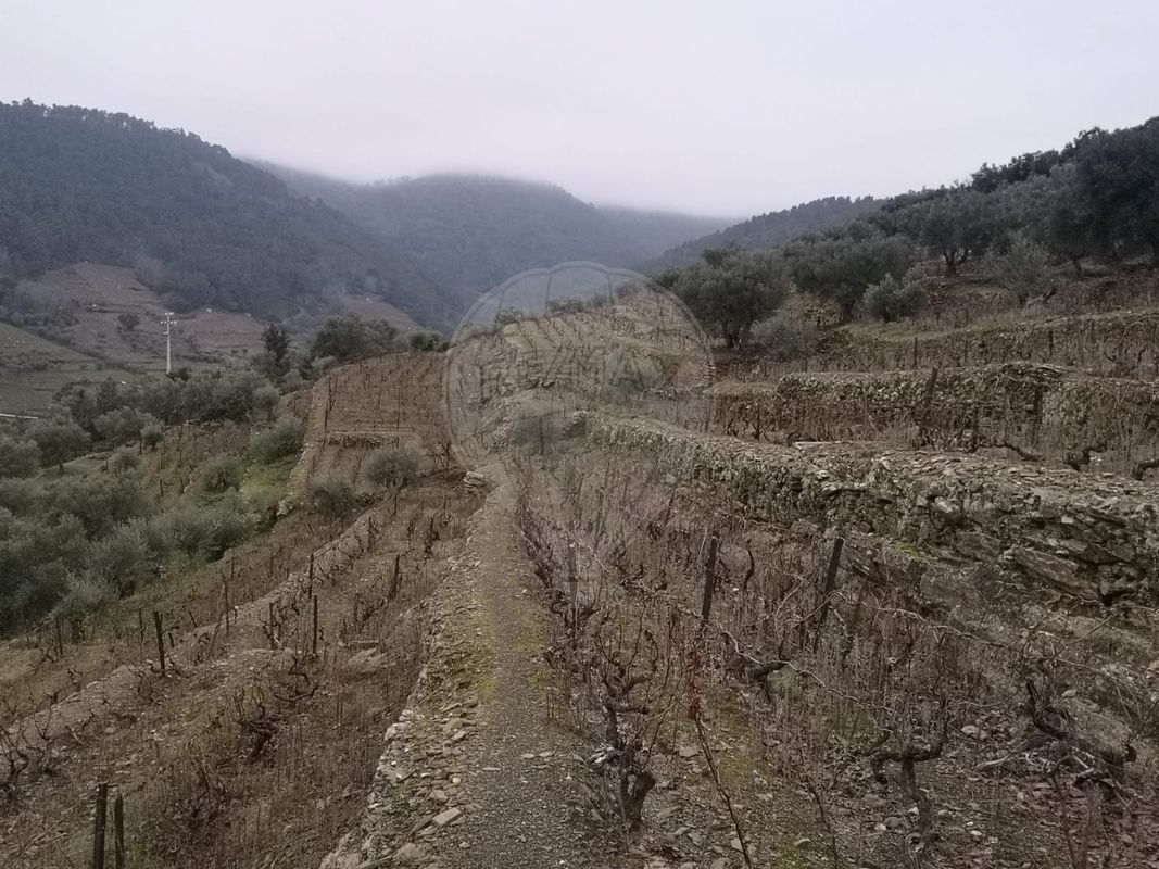 TODO