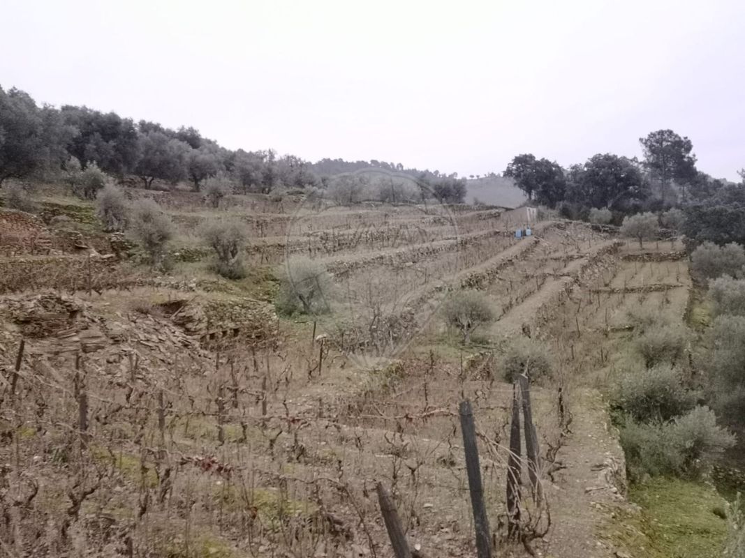 TODO